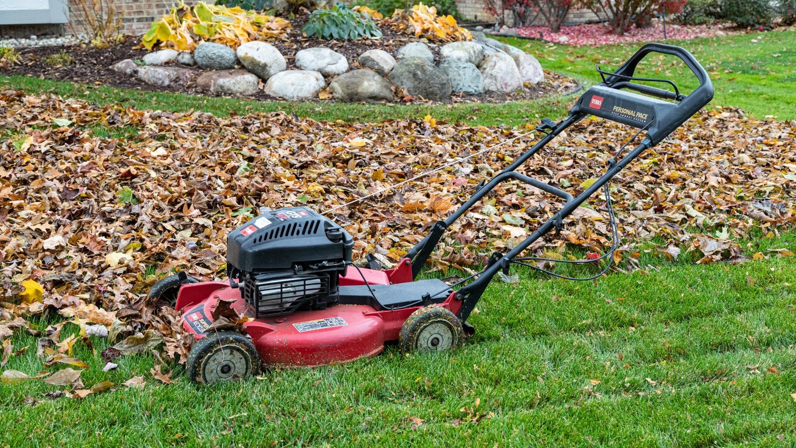 A red push mower sits on green grass, with a thick layer of brown and orange foliage spread out around it.