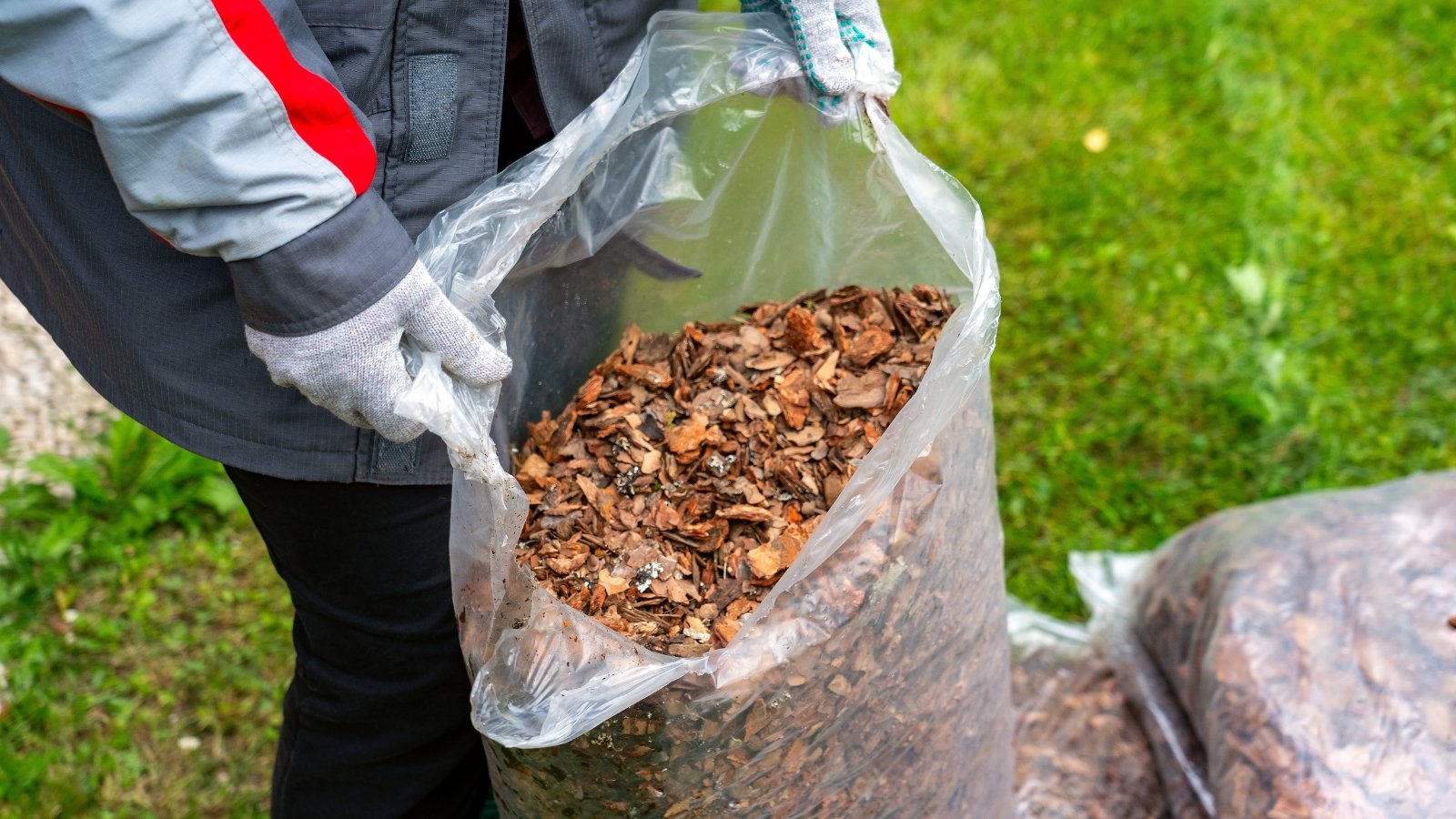 A person holding a large, clear bag filled with wood mulch, standing on green grass.