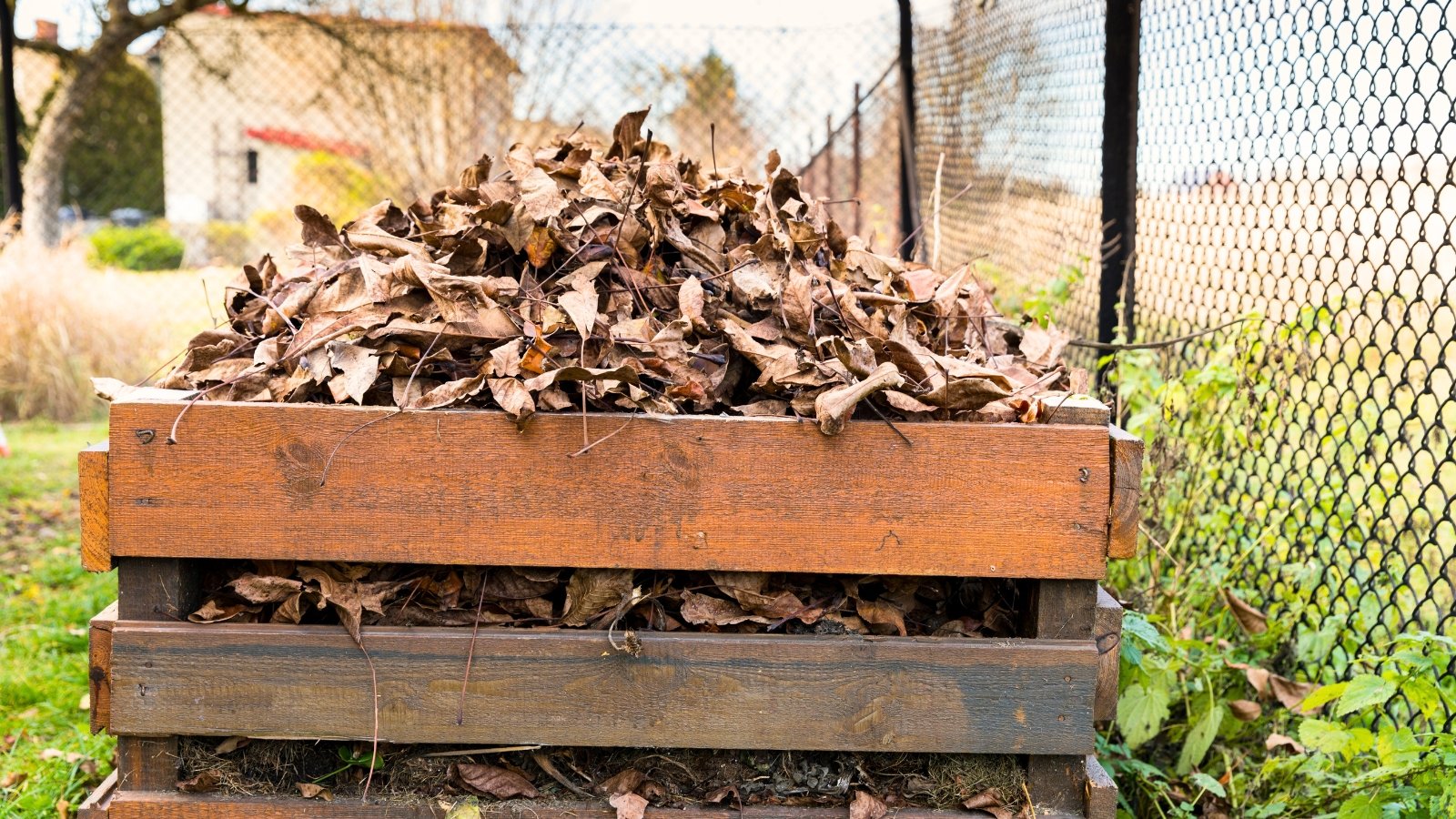 A rustic composter constructed from wooden boards overflows with a rich pile of dry leaves, showcasing a natural, earthy texture in a garden.